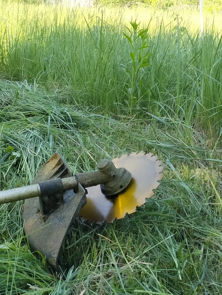 Відгук